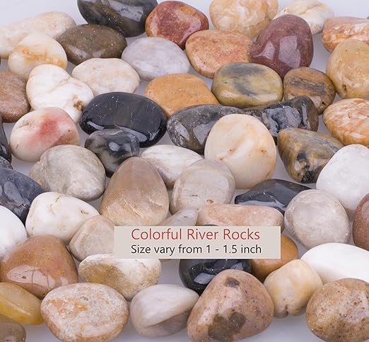 3.0 lb Mixed Color River Rock Stones 1~1.5", Natural Decorative Highly Polished Pebbles, Indoor Decorative Stones for Plant, Aquariums, Landscaping, Garden Flower Bed, Vase Fillers