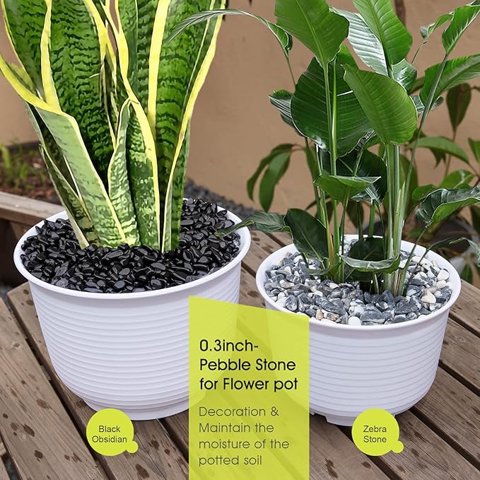 RIFNY Decorative Polished Rocks, 0.3" Gravel Rocks Crushed Crystal for Plant Flower Pots Succulents Cactus Bamboo Plant Vase Filler Aquarium Fish Tank Decorations (1.5 LB, Black Obsidian)