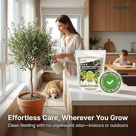 Olive Tree Fertilizer – Fruit Tree Fertilizer for Olive Tree, Citrus, Lemon, Lime, Fig, Avocado, Mango, Apple & Pomegranate – for Potted & Outdoor Trees (3 quarts - 6 lbs.)