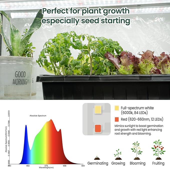 SOLIGT Indoor Greenhouse with Grow Lights - 5 Tier Plant Shelf & 8 x 2FT 6000K Full Spectrum Lights, Thick PVC Cover, Mesh Ventilation, Mini Small Greenhouse Cabinet for Seed Starting Seedlings Growth