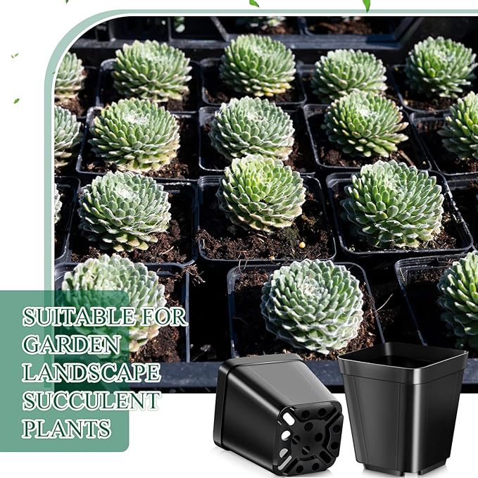 Nuanchu 500 Pack 2 Inch Square Nursery Pots, Small Plastic Seedling Pots with Drainage Holes, Mini Planting Planters for Garden Outdoor Indoor Flower Succulent Vegetable Starting Seedlings, Black