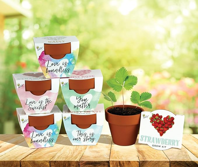 BUZZY Seeds Love Collection Indoor Flower Starter Kit – Terracotta Mini Grow Pots 6-Pack with Strawberry, Mini Rose, Forget-Me-Not, and Daisy Seeds, Valentine’s Day and Wedding Favors