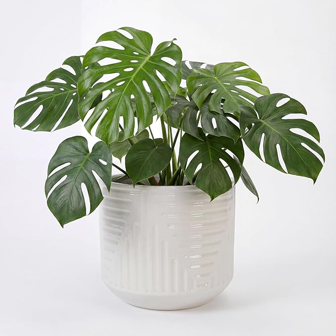 16 Inch Large Ceramic Planters for Indoor Plants, Outdoor Garden Plant Pots with Drainage Hole, 16" Round Decorative Pot for Patio, Floor, Home Decor - Milk White