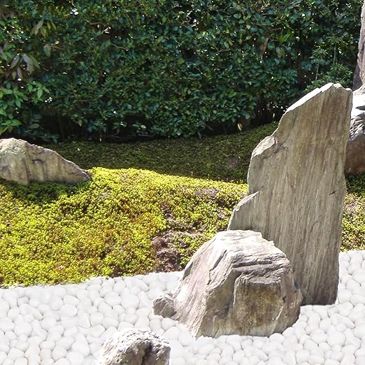 5 lbs White Rocks for Plants Indoor, 1-2 inch Decorative Garden Stone Outdoor Landscaping, Walkways, Yard, Large Polished River Rocks for Plants Pots, Vases, Crafts
