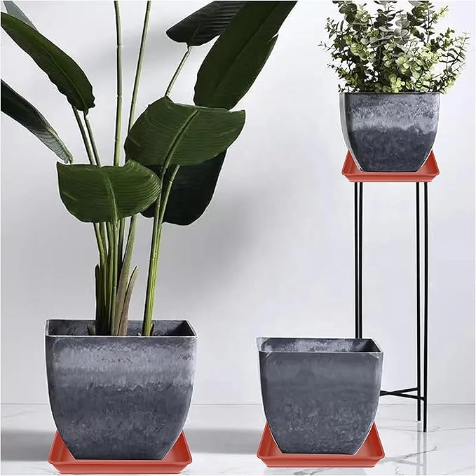 5 Pack Square Plant Saucer 12 Inch, Saucer for Plant Pots, Plastic Plant Water Dray Tray, Flower Pot Saucers, Square Planters for Indoors and Outdoors Plants.