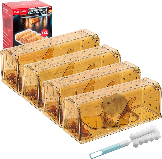 PATTLER® | New Large Humane Mouse Trap for Indoor and Outdoor Home | Mechanical Reusable Live Mouse Traps Catch and Release Mice from Garden, Garage, Attic, Inn, Hotel | Orange | Pack of 4