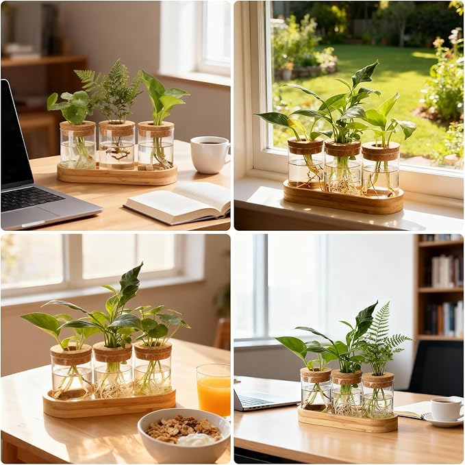 3Pcs Propagation Stations, Plant Terrarium with Lid and Wooden Stand,Desktop Glass Planter Hydroponics Vase,Home Office Living Room Decor Gifts