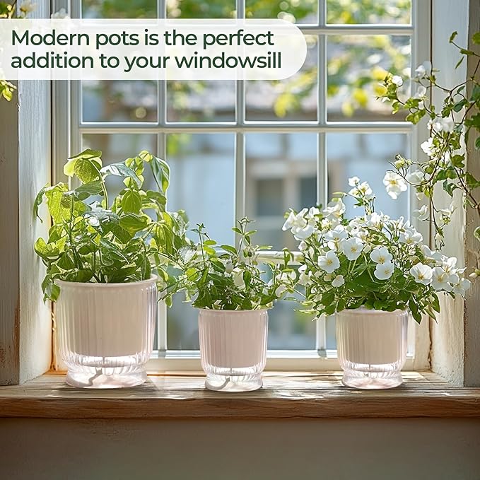 T4U 4 Inch Self Watering Plant Pot, 4 Pack Self Watering Pots, Self Watering Planter with Reservoir, Clear Self Watering Pots for Indoor Plants, African Violets, Flowers (4 Pack, 4", Clear)