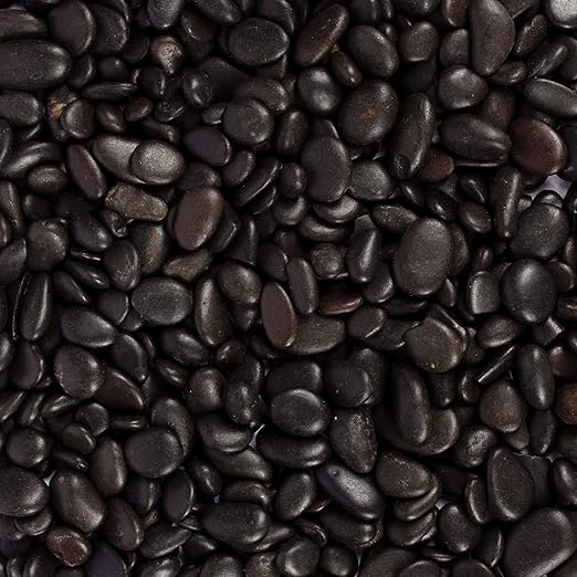 5 lbs Approx. 430 Black River Rocks Stones for Plants Pebbles for Indoor Plants | Aquarium Fish Tank Rocks | Polished Decorative Rocks for Vases (0.3-0.6 Inches)