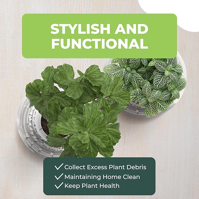 Window Garden 12" Plant Saucer - Plastic Plant Trays for Indoor and Outdoor - Clear Flower Pot Drip Trays - Drainage Base - Water Tray for Pots Indoors - Planter Saucers for Potted Plants - Set of 6