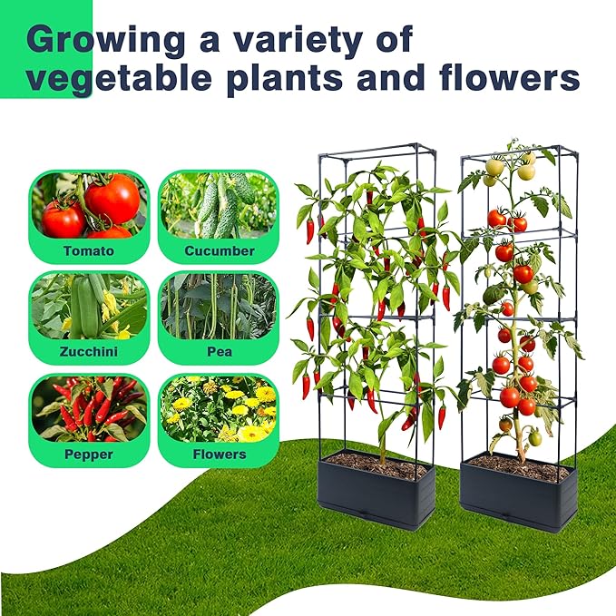 2Pack Raised Garden Bed Planter Boxe with Trellis, 55.2" Self Watering Tomato Planter Box with Trellis for Climbing Vegetable Flowers and Plants, Tomato Cage for Indoor Outdoor Use