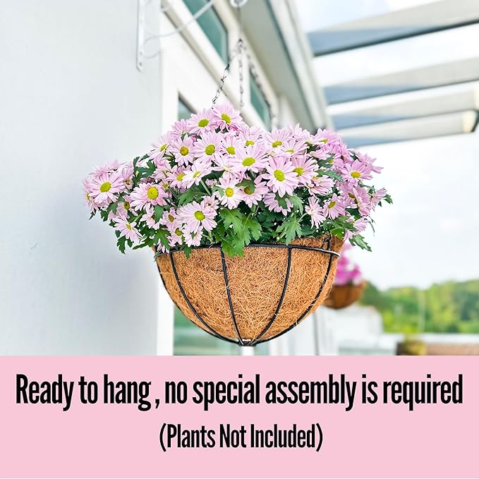 LaLaGreen Hanging Baskets Outdoor - (8 Inch, 2 Pack) Hanging Planters Outside with Coco Liner, Small Round Flower Pots Hanger Metal Wire Holder Outdoor Porch Patio Modern Deck Balcony Garden Decor