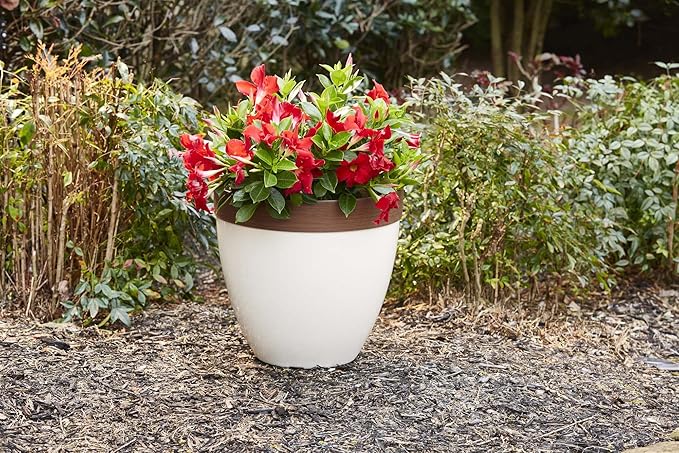 Southern Patio Hornsby Resin Outdoor Planter with Drainage Hole and Plug, Beige