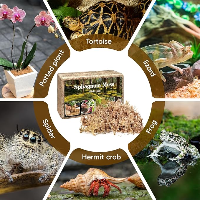 Sphagnum Moss,Sphagnum Moss for Plants,4 QT Natural Long Fibered Sphagnum Peat Moss,Premium Dried Orchid Moss for Orchids Succulents Carnivorous Potted Plant Gardening & Reptiles