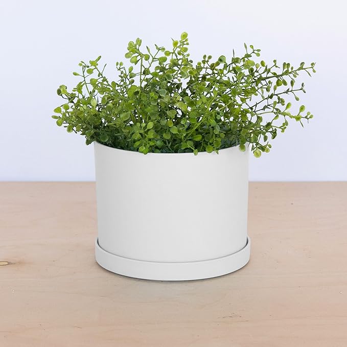 Bloem Mathers 6" White Round Modern Resin Garden Planter Pot with Drainage Holes and Removable Saucer Tray Included