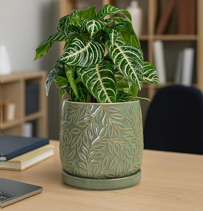 D'vine Dev 6 Inch Embossed Leaves Stoneware Planter Pot with Drainage Hole and Saucer, Olive, 27-A-X-0