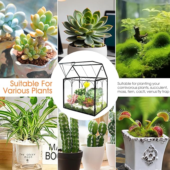 Plant Terrarium Kit, Rifny Large Glass Terrarium Jar with Absorbent Mat for Venus Fly Trap Succulent Live Air Plants Indoor Home Office Decor (Black, 8.9 x 5.9 x 9.9 inch, Without Plant Light)