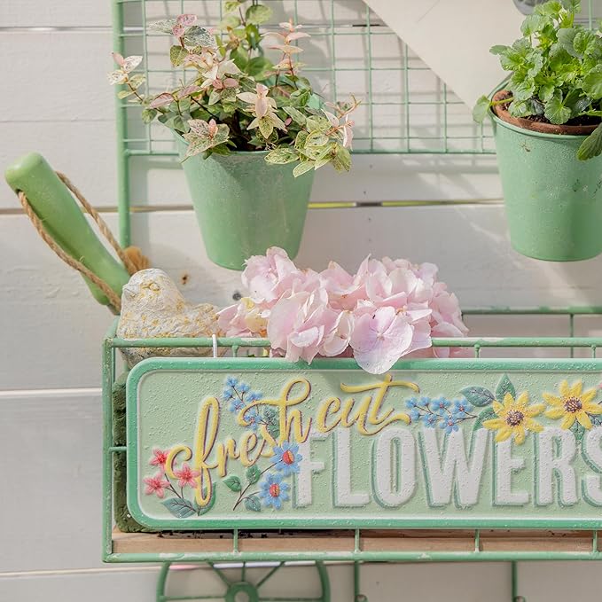 Vintage Rustic Metal Wall Plant Stand for Indoor Outdoor Decor,Garden Wall-Mounted Cart-Shaped Hanging Planter Holder with Flower Buckets & Storage Shelf Hooks for Patio Yard Farmhouse