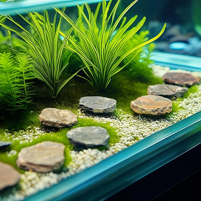 10Pcs Natural Miniature Small Stepping Stone Figure.Fairy Garden Supplies.Terrarium Accessories.Pathway Stones.Stairs.Shrimp Tank Decor.Bonsai Forest/Patio Pots Decoration.