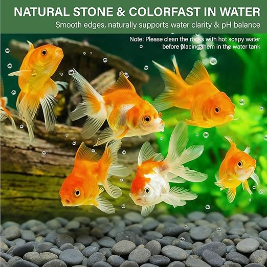 NUPICK 6lb Mexican Beach Pebbles, 1" Black River Rocks for Landscaping, Smooth Garden Rocks for Outdoor Paving, Natural Black Pebbles for Plants, Decorative Stones for Planters, Fish Tank, Fountain