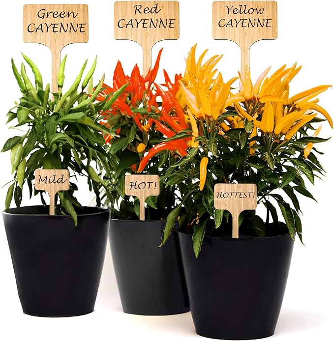 100 Pack 4.5 Inch Tall Plant Labels Garden Markers Plant Name Tags Great Holiday Gift for Plant Lovers and Gardeners Easy to See Writing Area with Full Size Marker