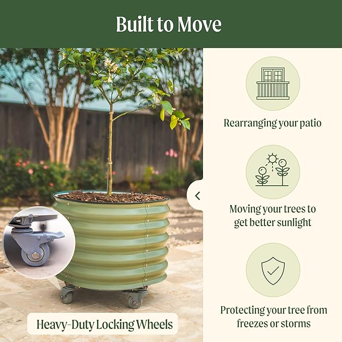 Rolling Metal Citrus Tree Planter, Self-Watering Round Large Pot for Growing Trees Tomatoes Vegetables and Flowers, Raised Garden Bed with Wheels for Porch Patio & Backyard, Twin Pack-Pearl White