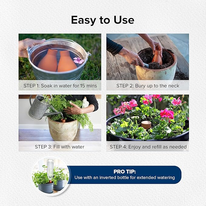 Classic Olla Watering Pot with Lid - Terracotta Self Watering Irrigation up to 1 ft in Diameter for Gardens, Raised Beds, and Small Pots - Vacation Friendly - Mini - Set of 2