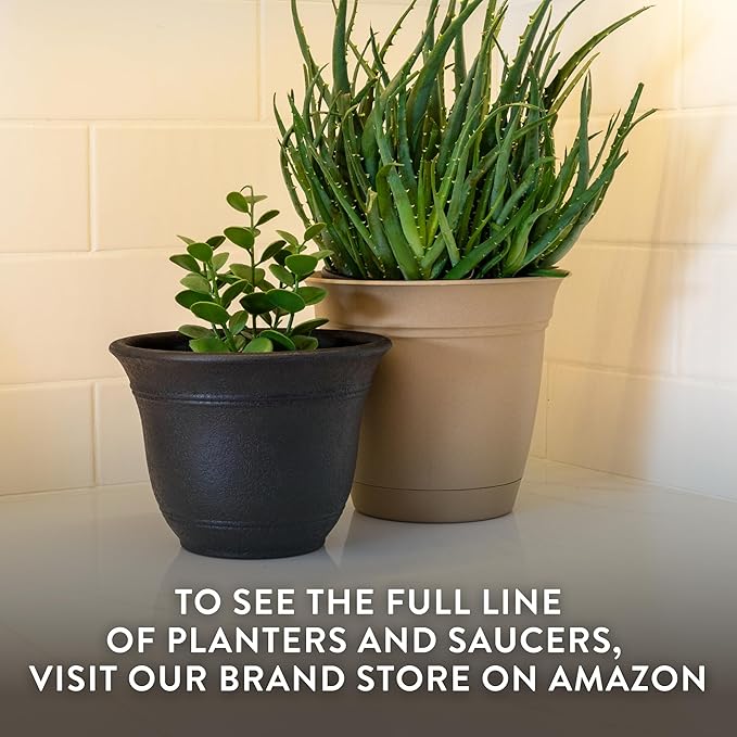 The HC Companies Sierra Round Self-Watering Pot - Lightweight Plastic Planter for Herbs & More - Durable Plant Pots for Indoor Plants & Outdoor Plants (10” Black Onyx, Pack of 2)