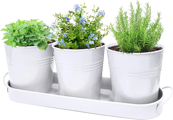 Metal Herb Garden Planter Set with Tray, 3-Pack White Zinc-Coated Windowsill Plant Pots with Drainage Holes & Handles for Indoor Outdoor Kitchen Garden