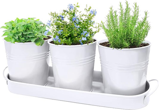 Metal Herb Garden Planter Set with Tray, 3-Pack White Zinc-Coated Windowsill Plant Pots with Drainage Holes & Handles for Indoor Outdoor Kitchen Garden