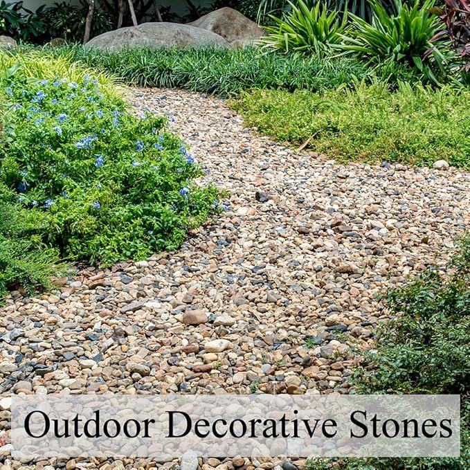 10 lbs Pea Gravel for Landscaping,1/4 Inch Aquarium Gravel. Decorative River Rocks for Fish Tank Succulent Vase Cactus Bonsai Plant Soil Cover and Outdoor Landscaping Rocks