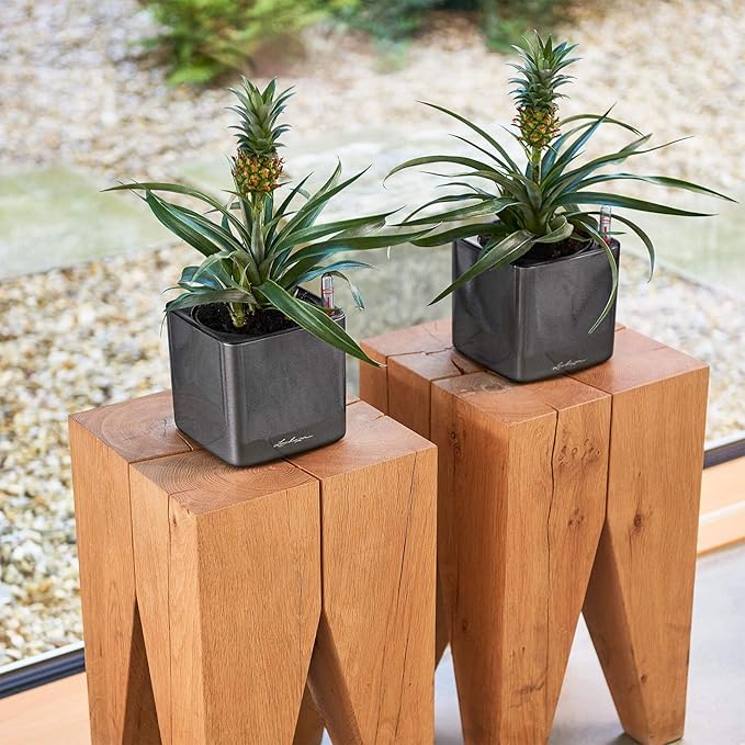 Lechuza Cube Glossy 14 Scarlet Red High Gloss, Self-Watering Indoor Small Plant Pot, H5.5 L5.5 W5.5 in