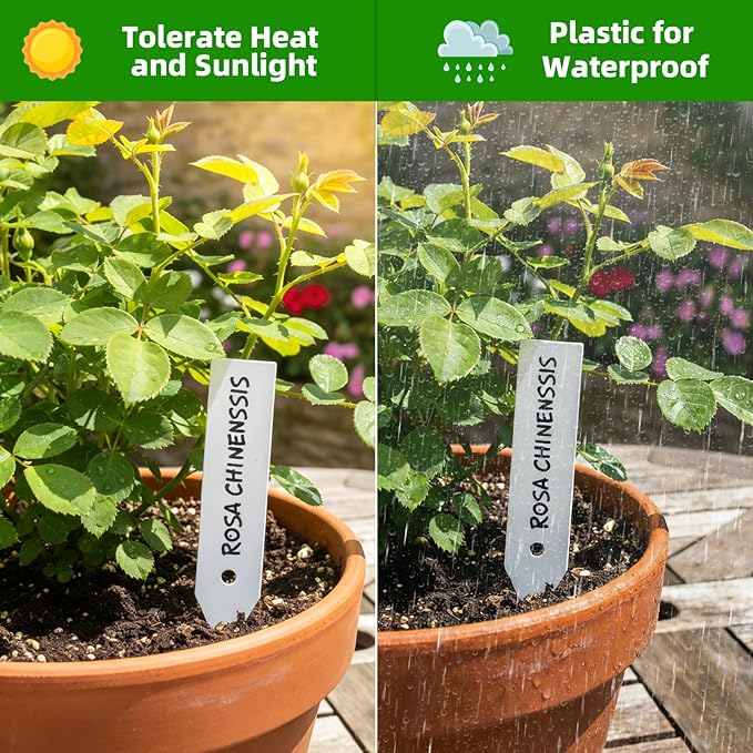 Plant Labels 250 PCS, Slim White Garden Plant Tags with Holes, PP Plastic Waterproof Labels with Permanent Marker, Jute Twine & Storage Box for Indoor & Outdoor Gardening (250PCS)
