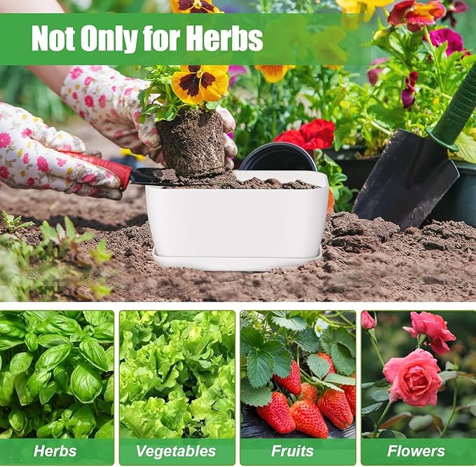 Herb Garden Planter Set, Plastic Plant Pots with Drainage and Saucer, Indoor Succulent Cactus Vegetable Pot for Windowsill, Garden Balcony, Green, Set of 6