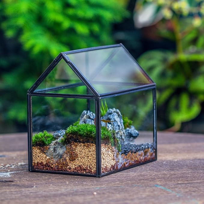 NCYP Small Glass Terrarium with Lid for Plant Succulent - 6.1 X 4.33 X 6.3 Inches - House Shape Flower Pot, Garden Tabletop Decor Planter, Geometric Centerpiece, Black (No Plants)