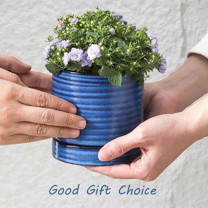 HASENSE Small Plant Pots, 4.6 Inch Porcelain Planters with Drainage Holes and Tary, Mini Pot for Flower, Succulents, Cactus, Herbs, Reactive Glaze Blue Indoor Planter, Set of 4