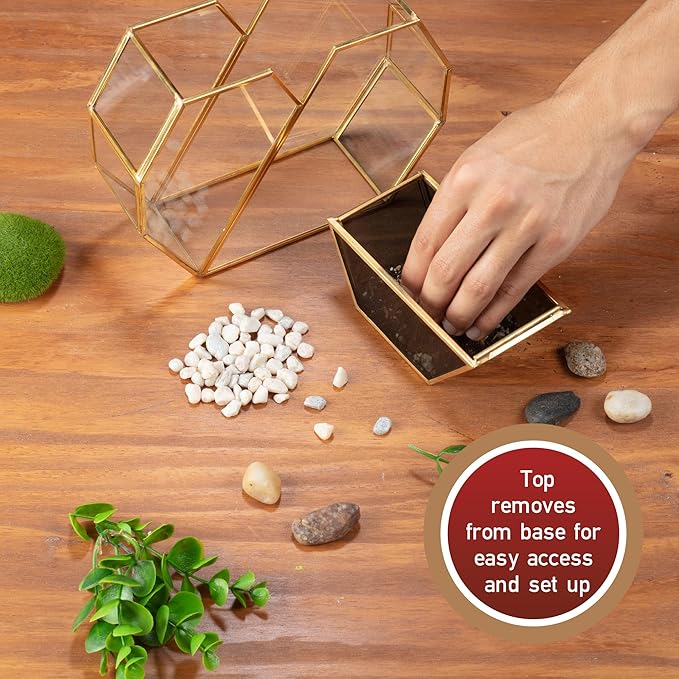 D'Eco Glass Valentine Heart Centerpiece (8x8x2.5)- Tabletop Planter Terrarium for Home Decor & Wedding Letterbox- Fill w/Succulents, Candy, Chocolates, Vday Decorations Valentine's Day Gift for Her