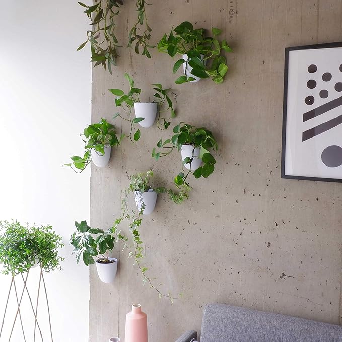Make Good PlantPod Luxe - Self-Watering Wall Planters (Set of 6) - Easy to Water and Install - Lightweight - Design Your Own Vertical Garden - Wall Planters for Indoor Plants