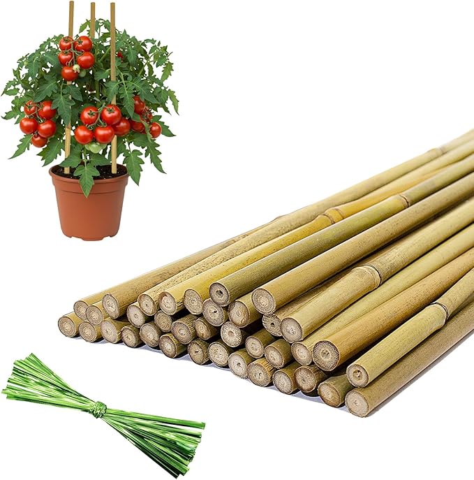 36 Pcs Plant Stakes, 16 Inches Natural Garden Bamboo Sticks, Plant Support Stakes for Indoor & Outdoor Plants, Orchid Tomato Vegetable Stakes for Garden
