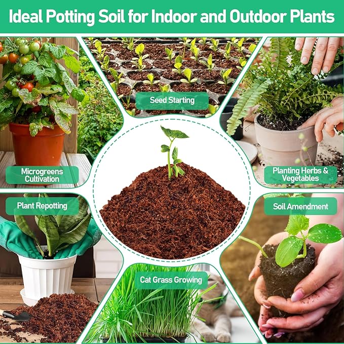 Legigo 100 Pcs 30mm Coco Coir Pellets Seed Starter Soil Mix- Organic Coconut Coir Potting Soil Pods for Seedling, Coco Peat Soil Discs for Indoor & Outdoor Plants Bonsai Herbs Vegetables and Flowers