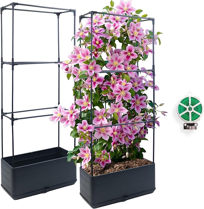 2Pack Raised Garden Bed Planter Boxe with Trellis, 43.4" Self Watering Tomato Raised Planter Box with Trellis for Climbing Vegetable Flowers and Plants, Tomato Cage for Indoor Outdoor Use