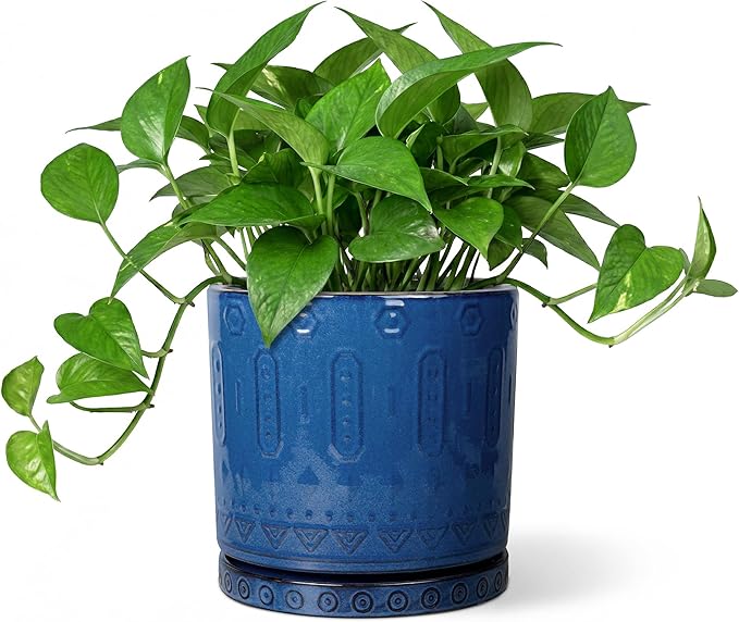 Ceramic Planter, 6 Inch Plant Pot with Drainage Hole and Tray, Round Flower Pots for Indoor Outdoor Plants, Boho Decorative Pots for Plants, Bookshelf Decor, House Warming Gift, Blue
