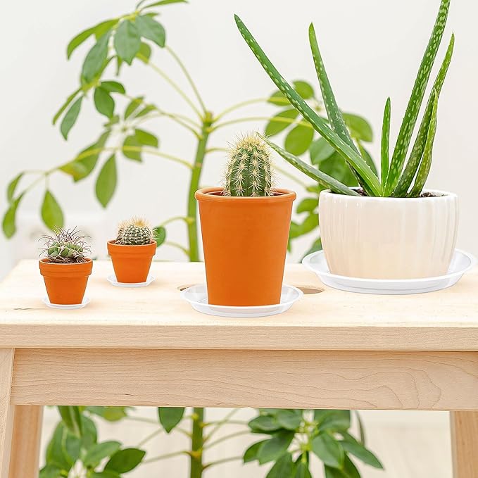 Augshy 18 Pack Plant Suacer 6 Inche Plant Drip Trays for Pots Clear Plant Pot Trays Water-Repellent Plant Saucers for Gardens Balconies and Indoors