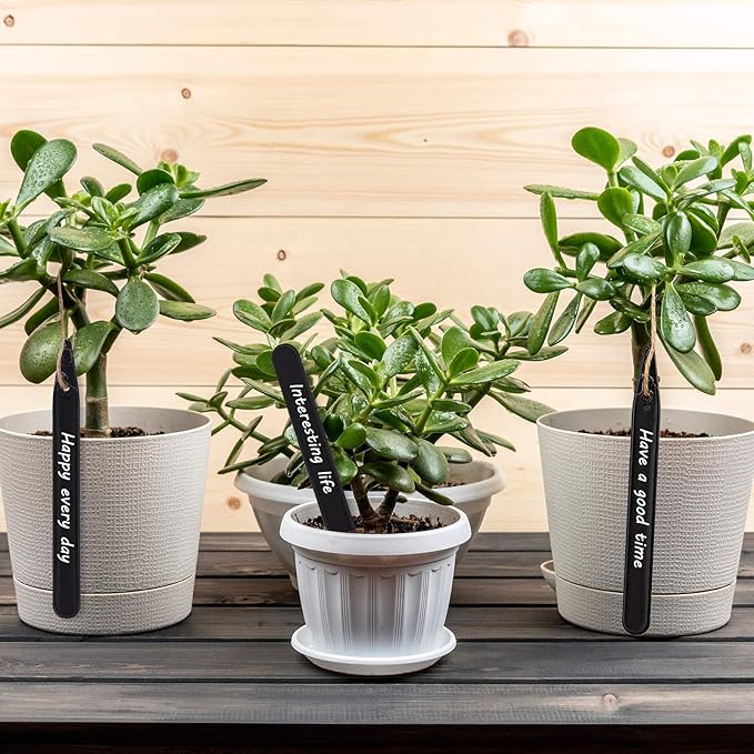 Whaline 200Pcs Thick Plastic Plant Label Garden Labels Black Waterproof Garden Stake Sign Tags Garden Markers for Outdoor Seedlings Potted Flowers with 2 Marker Pen and A Roll of Twine (15 cm)