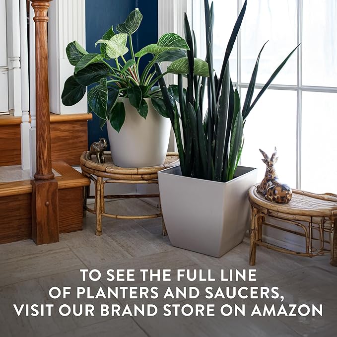 The HC Companies Aria Round Self-Watering Pot - Lightweight Plastic Planter for Herbs & More - Durable Plant Pots for Indoor Plants & Outdoor Plants (10" Glossy Black, Pack of 2)