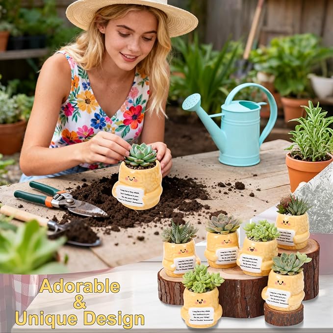 6 Pack 2.5 Inch Chicken Ceramic Succulent Planter Pots with Drainage Hole, Mini Cute Flower Pots Container for Home Office Garden Decoration Emotional Support Buddies Christmas Housewarming Gifts