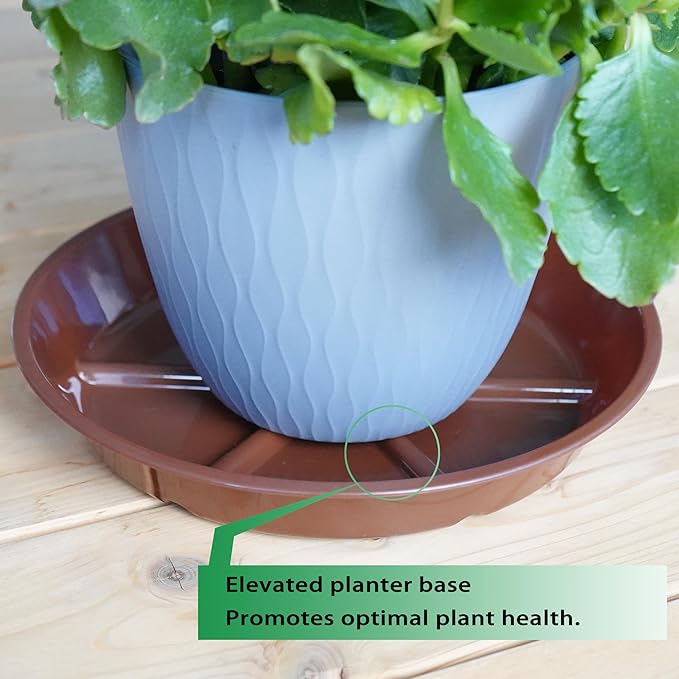 Plant Saucer Pot Tray 6 inch, 6 Packs Flower Planter Saucers, Heavy Drainage Tray for Indoors No Holes, Plastic Plant Saucers Water Catcher for Pots Base, Chocolate