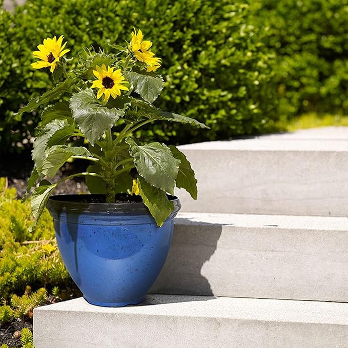 Southern Patio HDR-029755 12" Blue Hritge Planter