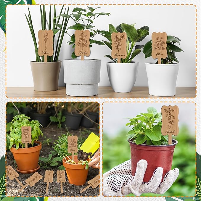 36Pcs Wooden Plant Markers Garden Labels Stakes Plant Herb Tags Sign Nursery Plant Tags with Printed Herb Name Gardener Gifts for Indoor Outdoor Garden Supplies Potted Herb Flower 12 Styles