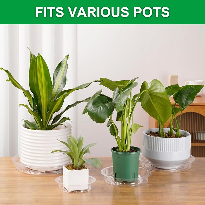 CATIFLIN 24 Pack Clear Plant Saucers - 6, 8, 10, 12 Inch Plastic Plant Trays for Pots, Flower Pot Saucers, Indoor & Outdoor Planter Drip Tray for Water Drainage & Protection